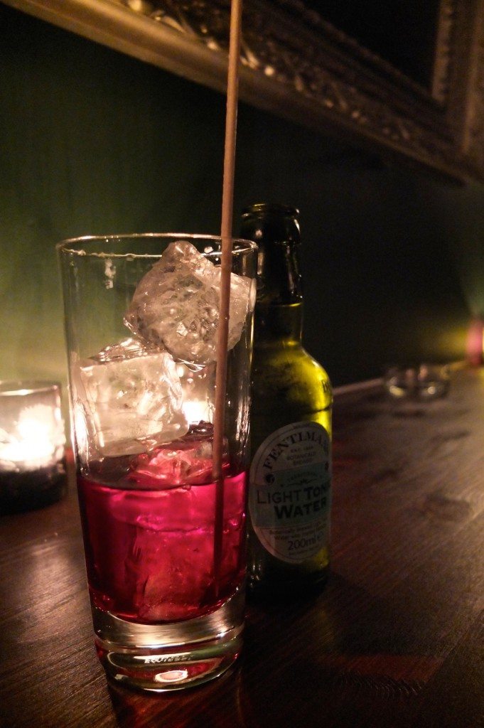 sloe-gin-tonic-g-t-bar-berlin