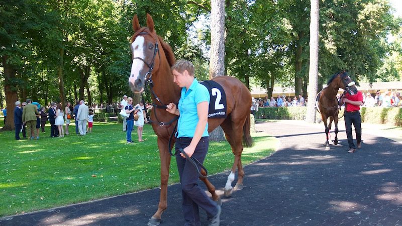 berlin-pferderennen-hoppegarten-pferdeschau