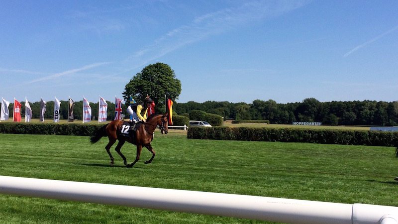 berlin-pferderennen-hoppegarten-siegerpferd