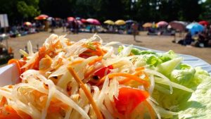 berlin-thai-park-preussenpark-papaya-salat-titelbild